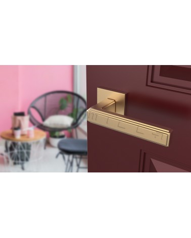 RAFLESIA door handle design handle colour 1 mounted on an ajar door