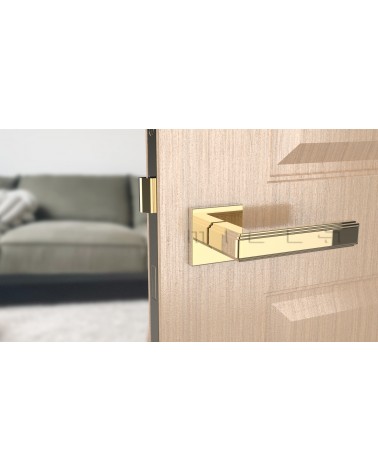 Polished gold RAFLESIA door handle design handle mounted on an ajar door