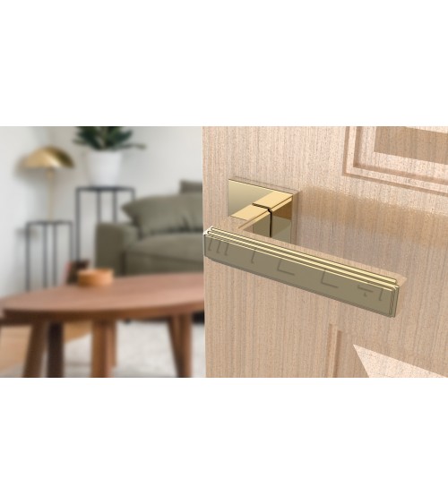 Polished gold RAFLESIA door handle designer handle