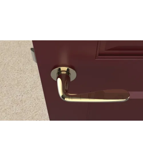 HIACYNTA polished gold door handle designer handle
