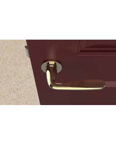 HIACYNTA polished gold door handle design handle top view mounted on a door