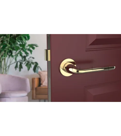 HIACYNTA polished gold door handle designer handle