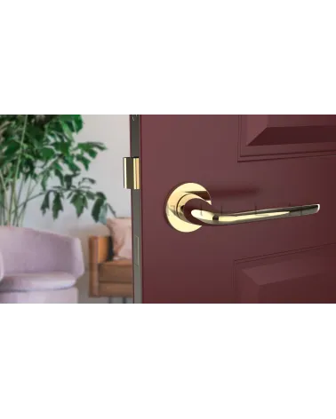 HIACYNTA polished gold door handle design handle front view mounted on a door