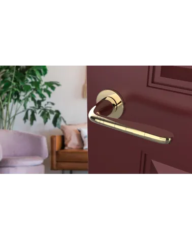 HIACYNTA polished gold door handle design handle angled top view mounted on a door