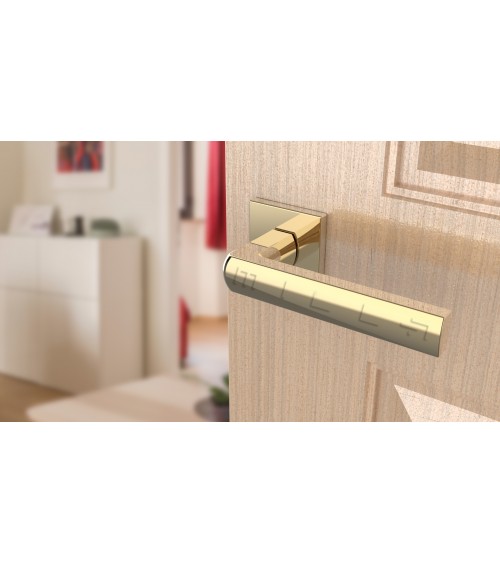 Polished gold HOSTA door handle design hardware