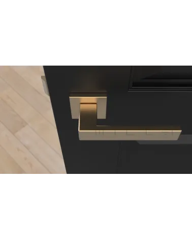 PINA matt gold door handle designer handle top view mounted on a door 1