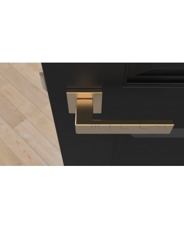 PINA matt gold door handle designer handle top view mounted on a door 1