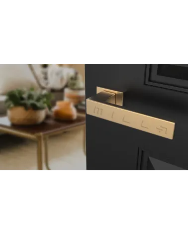 PINA modern door handle design handle tilted top view mounted on a door