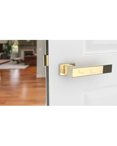 PINA polished gold door handle design handle front view mounted on a door
