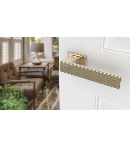 PINA polished gold door handle designer handle