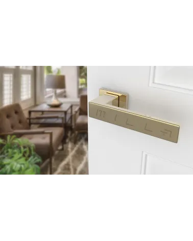 PINA polished gold door handle design handle tilted view mounted on a door