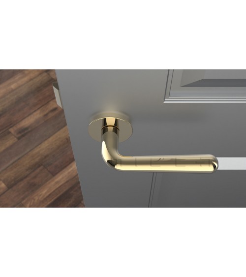Retro Door Handle IRGA Designer Handle Colour 1