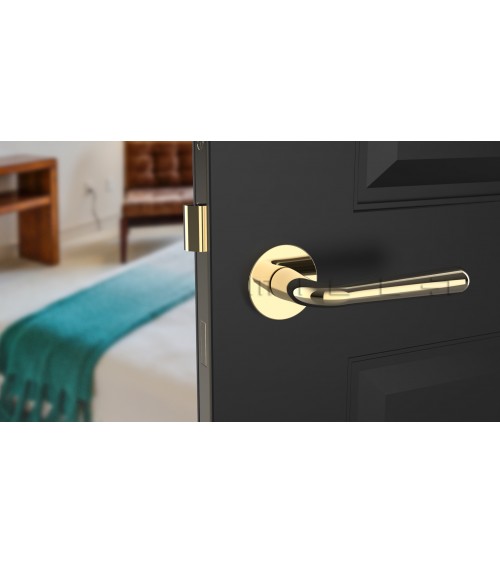 Retro Door Handle IRGA Designer Handle Colour 1