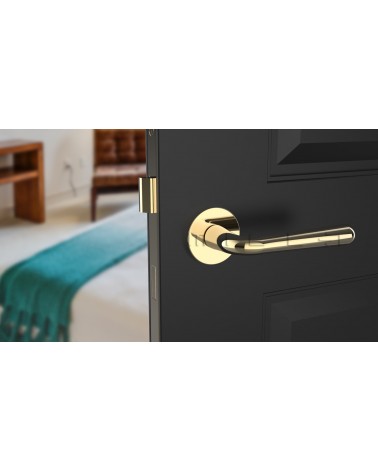 Retro IRGA design door handle colour 5 mounted on a slightly ajar door