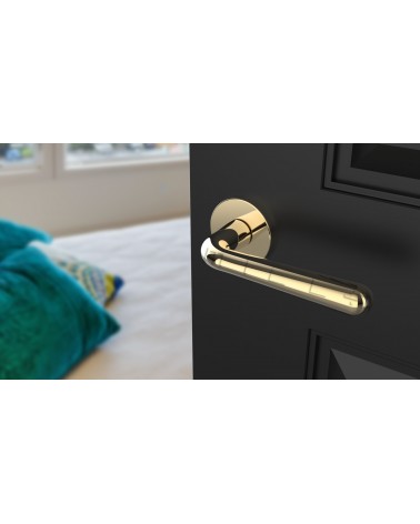 Retro door handle IRGA designer handle colour 5 angled top view mounted on a door