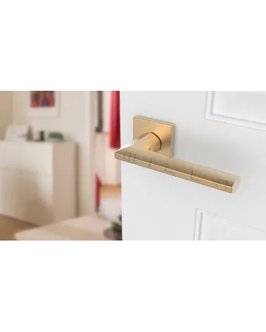 JASMINA matte gold door handle designer handle angled view mounted on a door