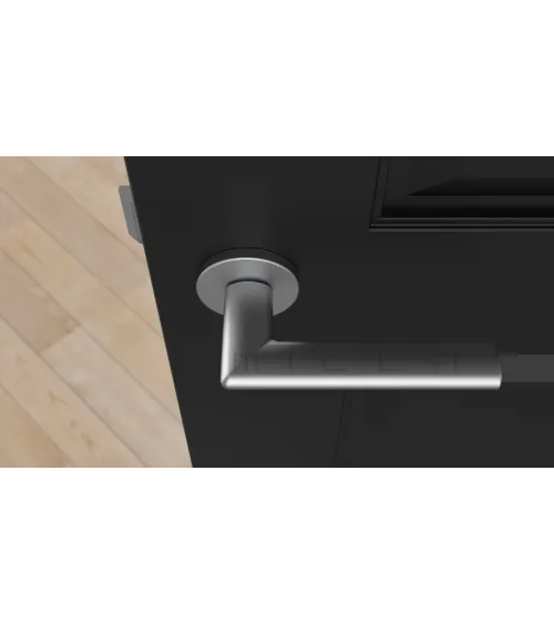 Satin chrome KALMIA door handle design handle