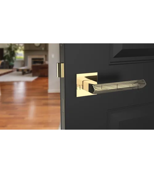 LARICE Square Plate Door Handle - Designer Handle
