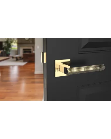 LARICE square plate door handle design handle front view mounted on a door