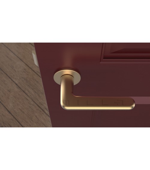 Modern door handle LIRA designer handle