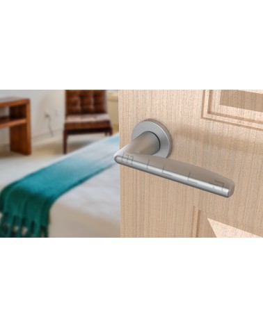 Satin chrome door handle LUNA design handle mounted on a door