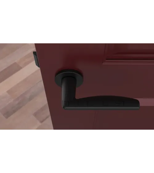 LUNA black door handle design handle