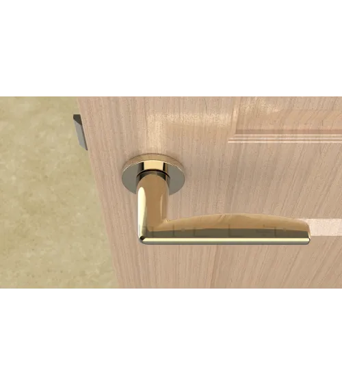 LUNA polished gold door handle handle design