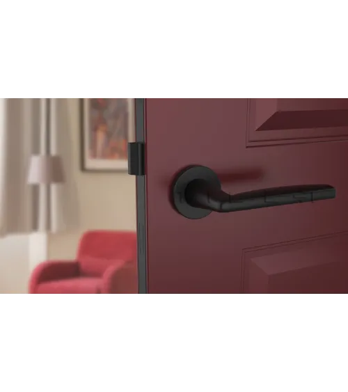 LUNA black door handle design handle