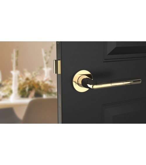 LUNA polished gold door handle handle design