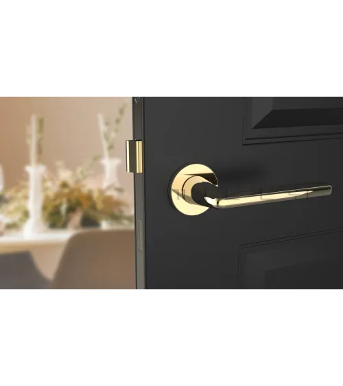 LUNA polished gold door handle handle design