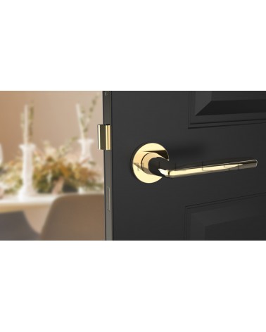 Polished gold LUNA door handle design handle front view mounted on a door