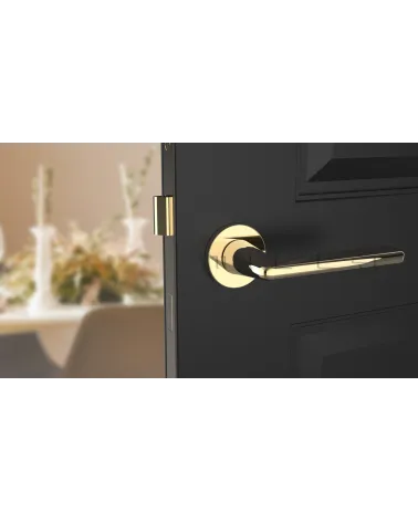 Polished gold LUNA door handle design handle front view mounted on a door