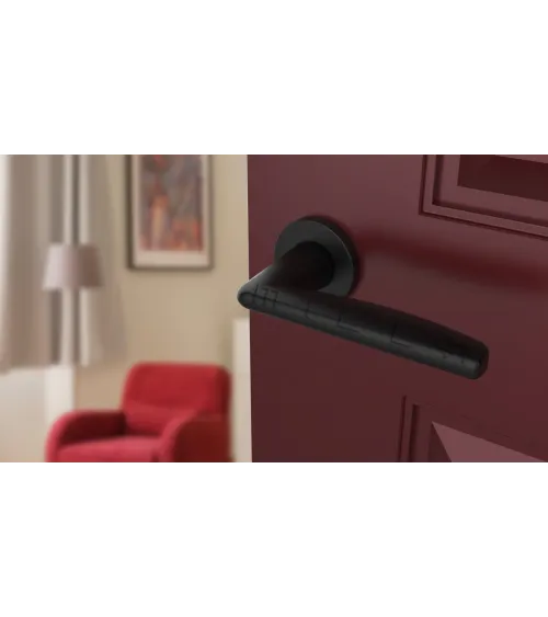 LUNA black door handle design handle