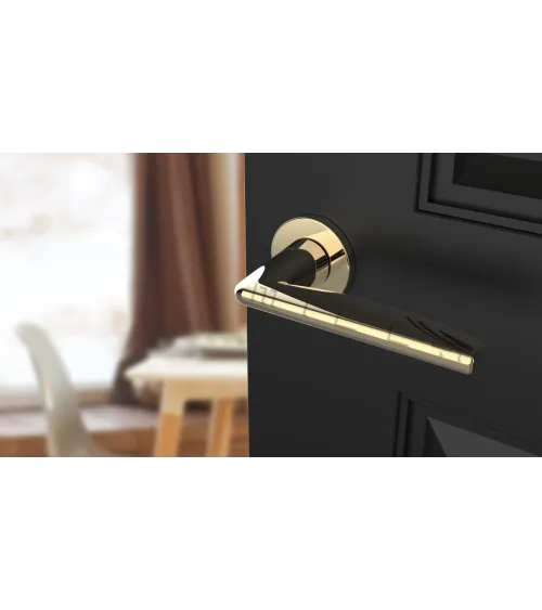 LUNA polished gold door handle handle design