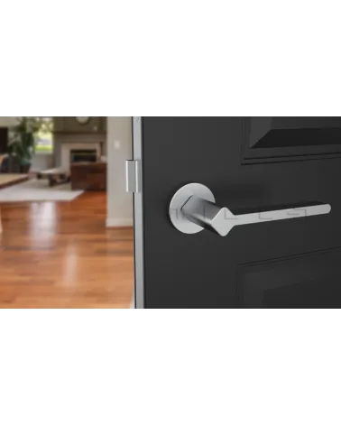 Satin chrome NINFEA door handle design handle front view mounted on a door 1