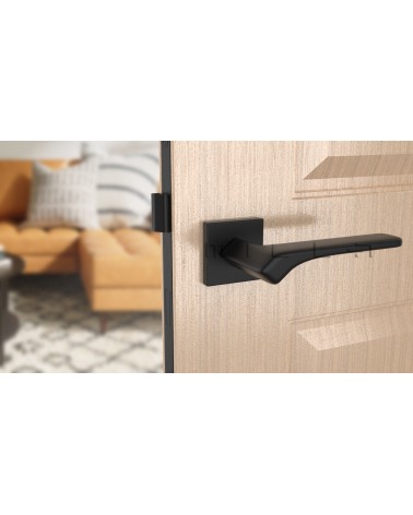Contemporary BERGERIA door handle design handle front view mounted on a door