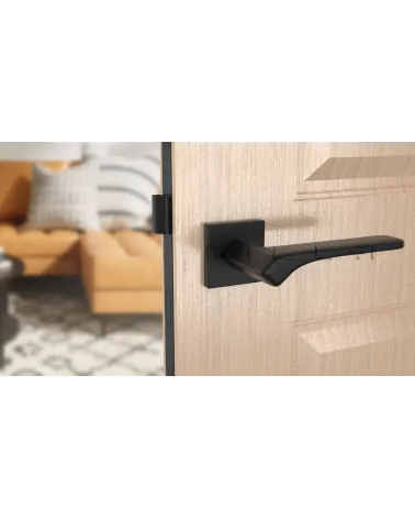 Contemporary BERGERIA door handle design handle front view mounted on a door