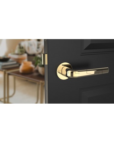 Polished brass door handle INULLA designer handle front view mounted on a door