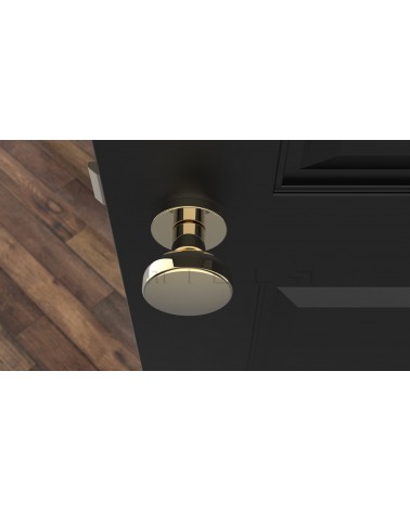 MESA Round Mobile Door Knob in Gold
