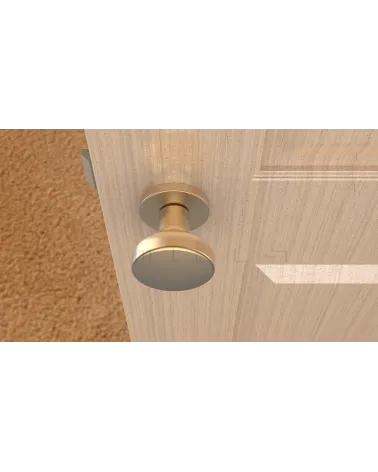 MESA Round Mobile Door Knob in Matt Gold