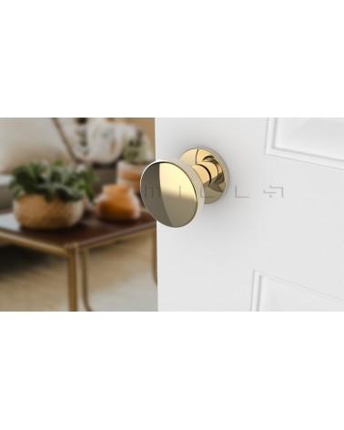 MESA Round Mobile Door Knob in Gold