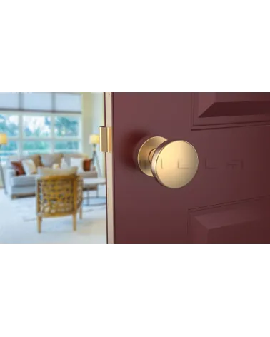 MESA Round Mobile Door Knob in Matt Gold