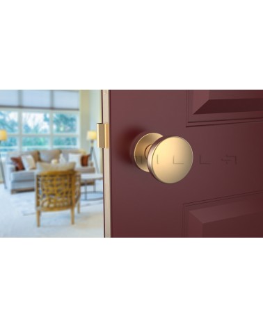 MESA Round Mobile Door Knob in Matt Gold