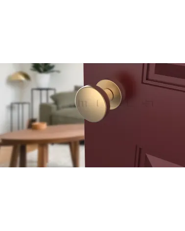 MESA Round Mobile Door Knob in Matt Gold