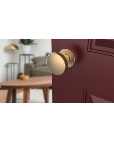MESA Round Mobile Door Knob in Matt Gold