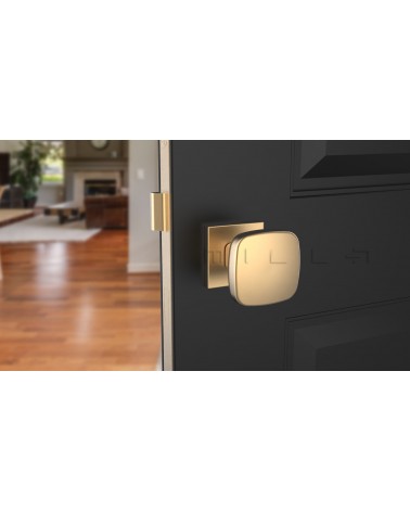 Matt Gold KIAMA Square Door Knob - Design Handle