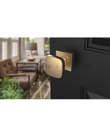 Matt Gold KIAMA Square Door Knob - Design Handle