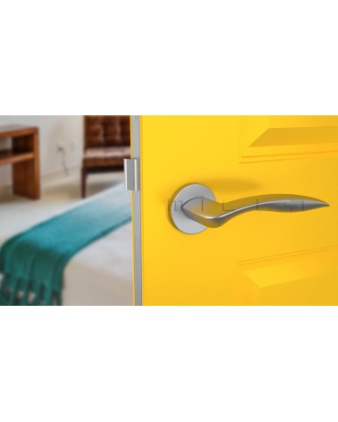Satin Chrome ROBINE Door Handle Design Hardware Front View Mounted on a Door