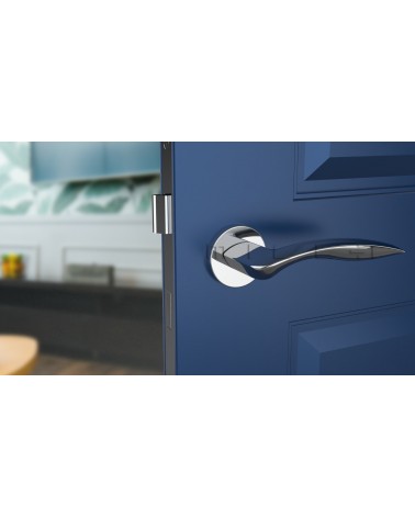 Polished Chrome ROBINE Door Handle Design Hardware Front View Mounted on a Door