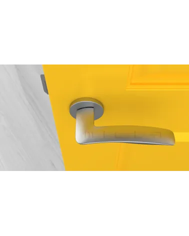 Satin chrome ROBINE door handle design hardware top view mounted on a door